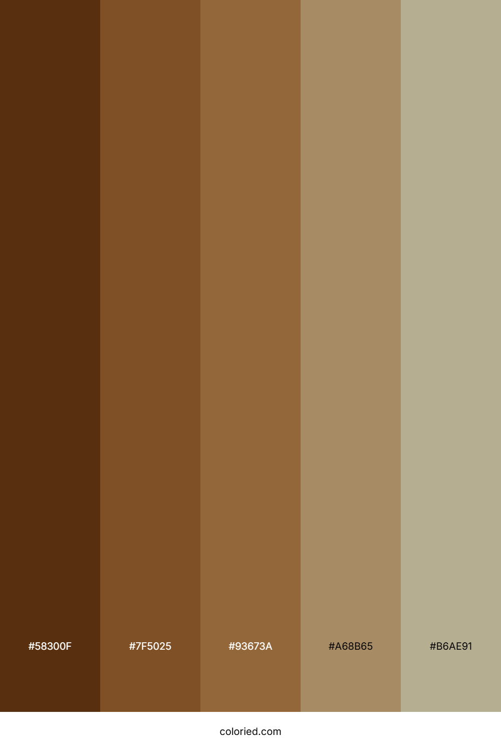 Toasted Almond Color Palette