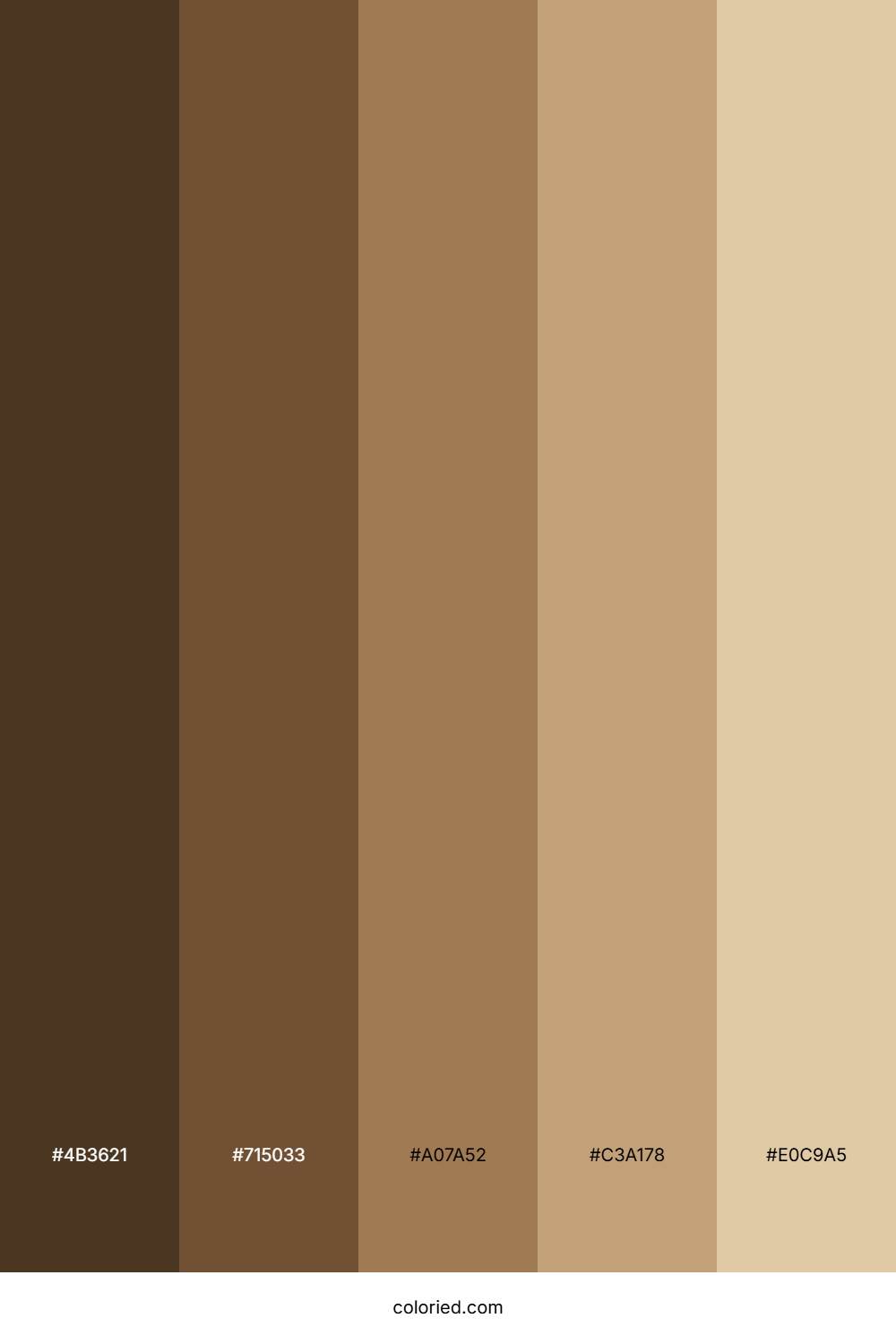 Tortoise Shades Color Palette