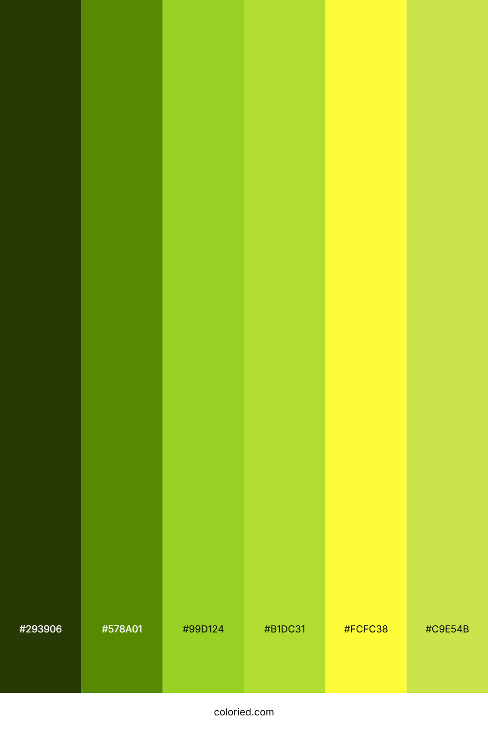 Toxic Green and Lime Color Palette