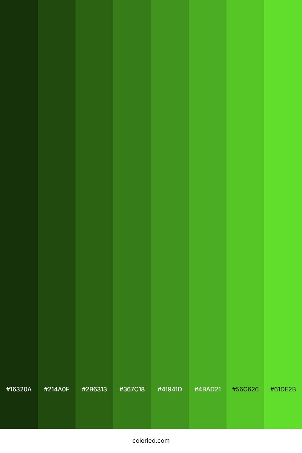 Toxic Green Color Shades