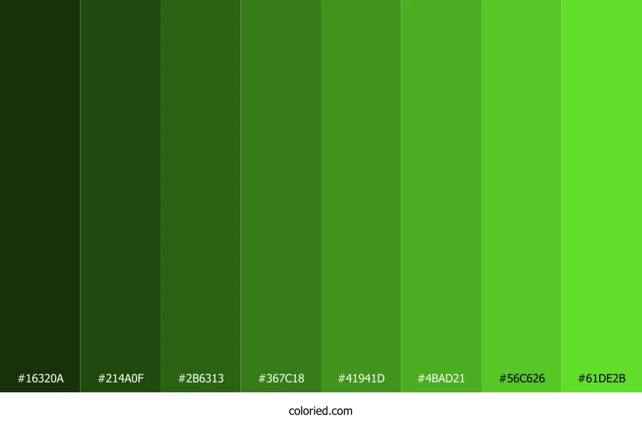 Toxic Green Color Shades