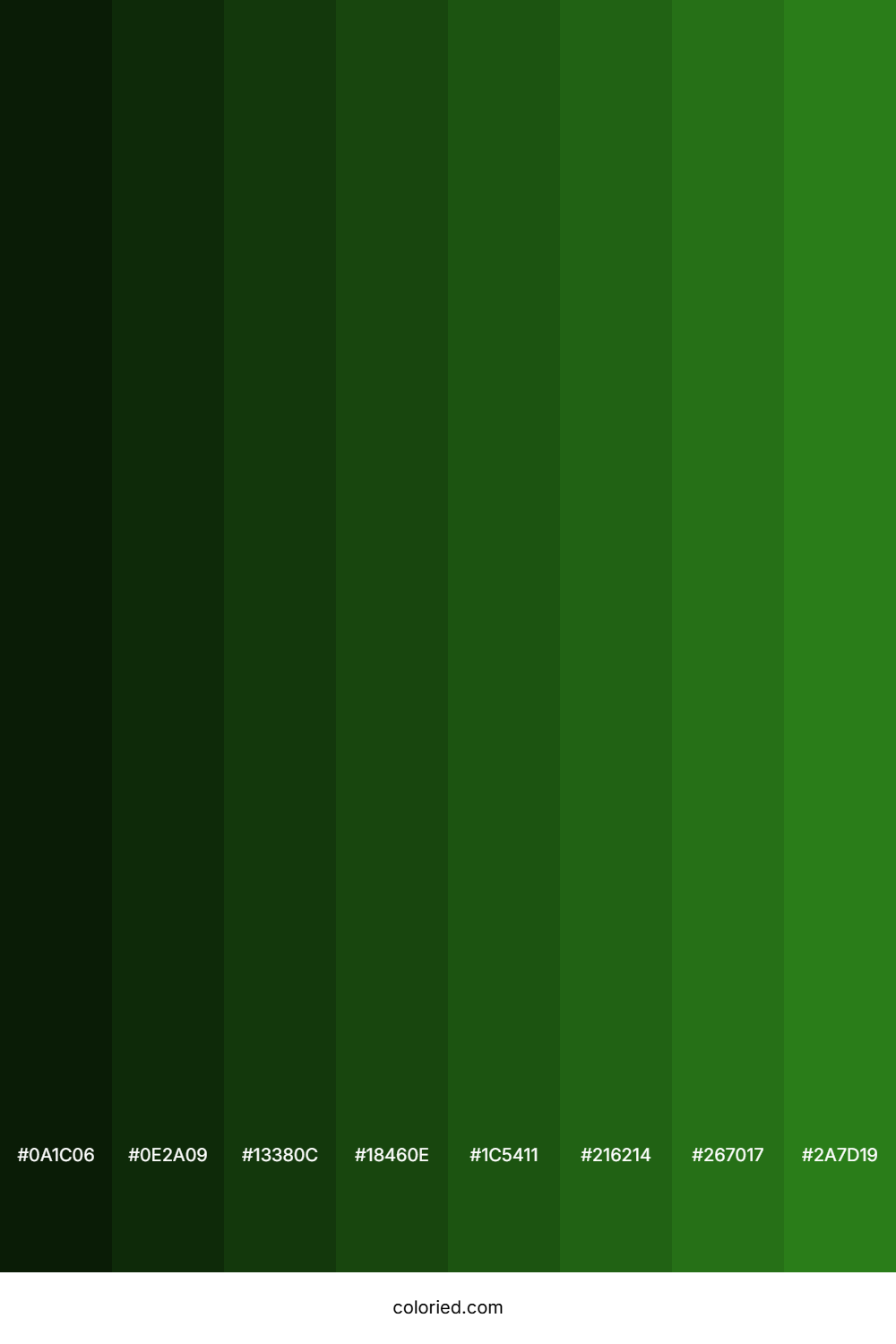 Tree Green Color Shades