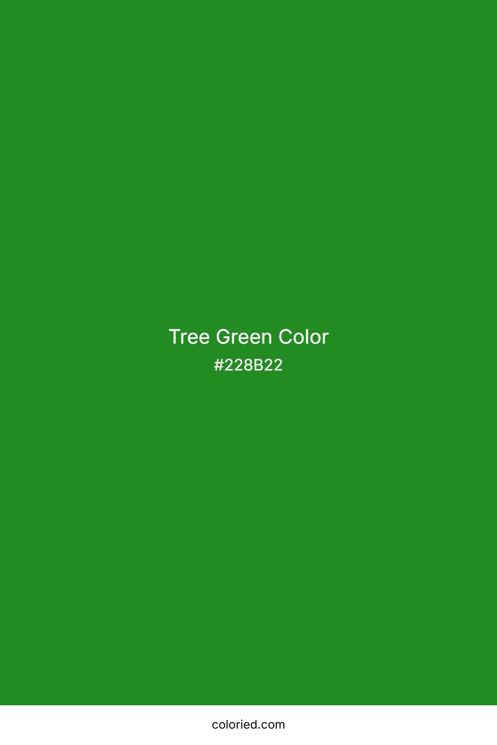 Tree Green Color
