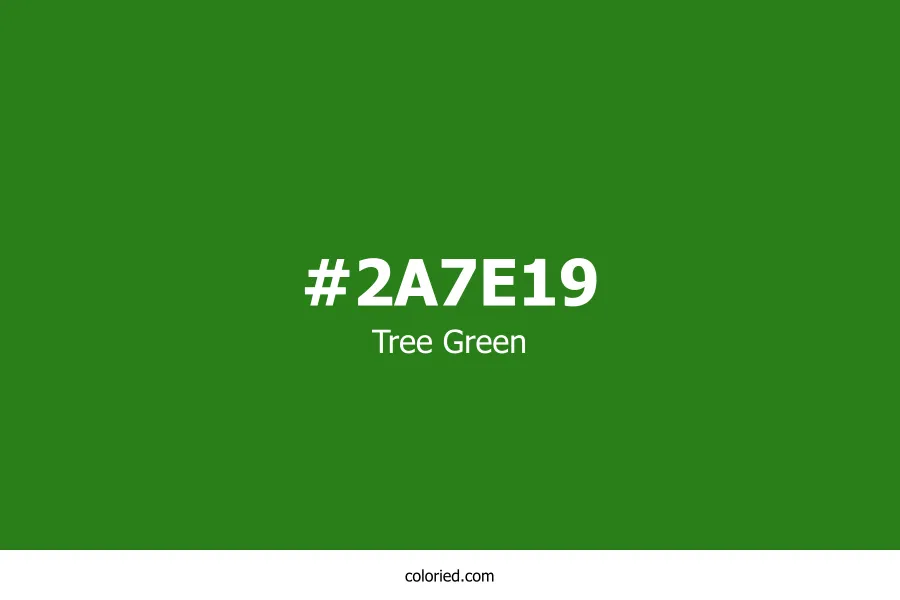 Tree Green Color