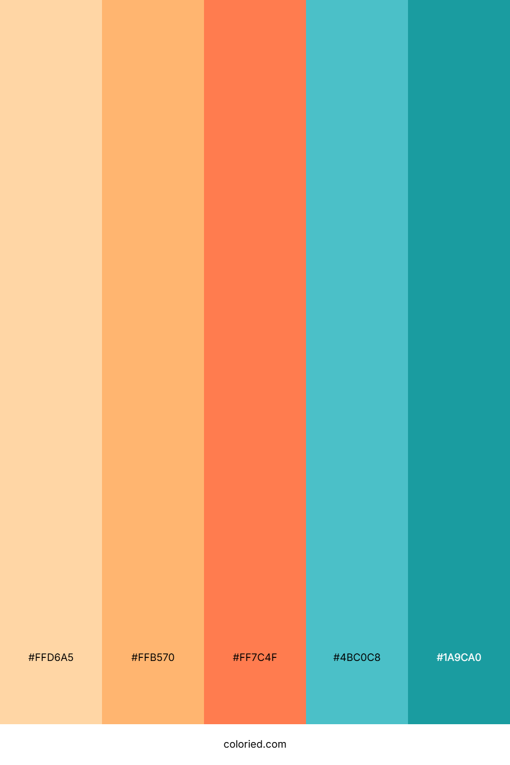 Tropical Beach Color Palette