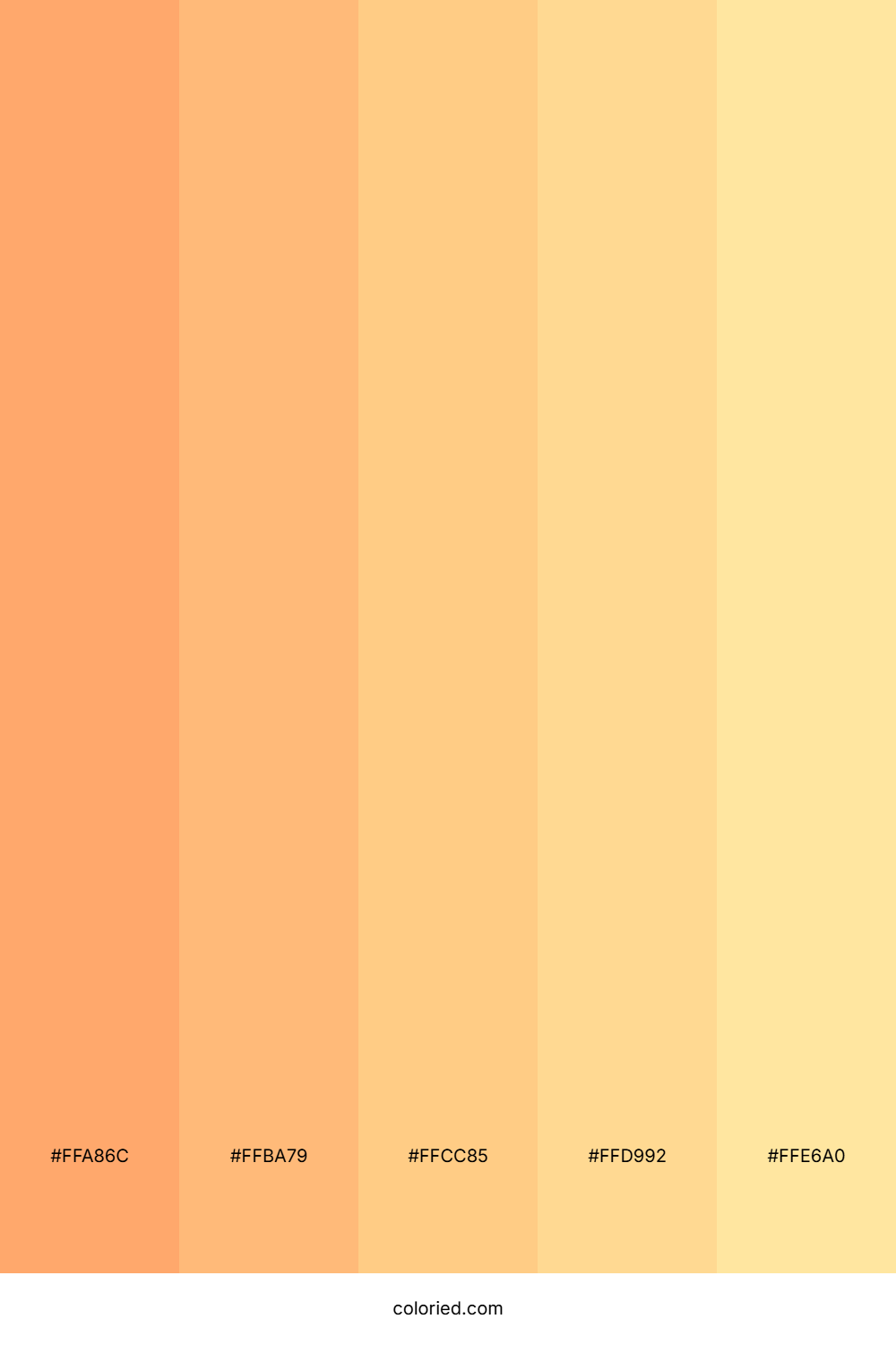 Tropical Coral Sunset Palette