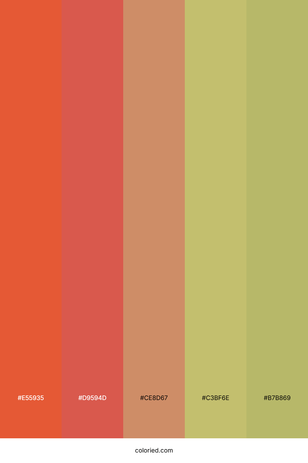 Tropical Ember Spice Palette