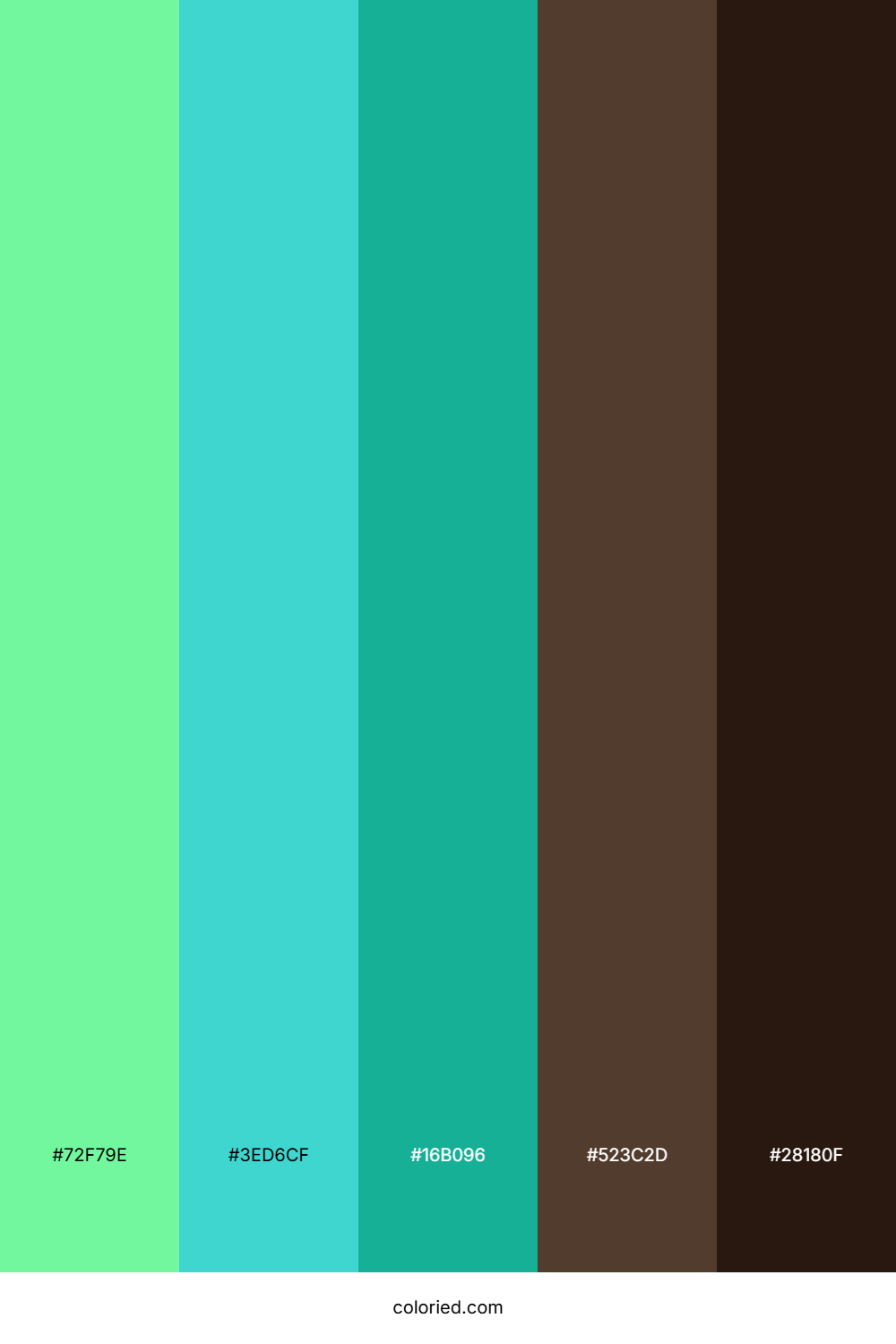 Tropical Lagoon Breeze Palette