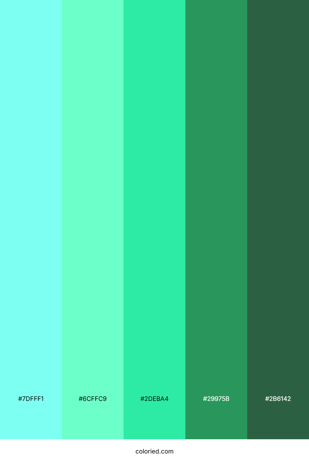 Tropical Mint Oasis Color Palette