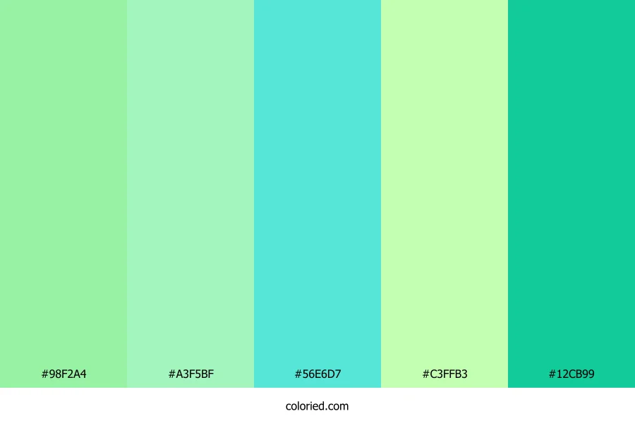 Tropical Mint Party Color Palette