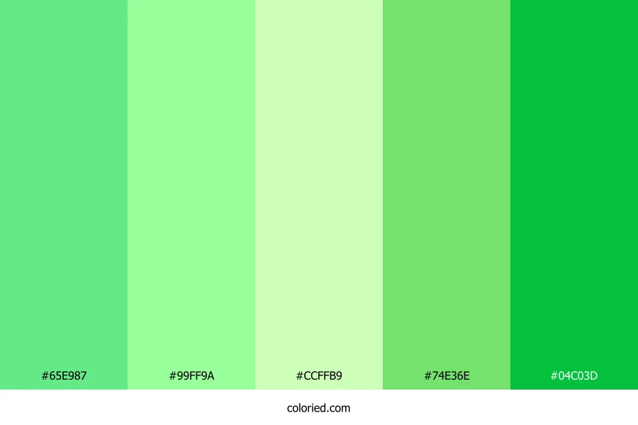Tropical Mint Splash Color Palette