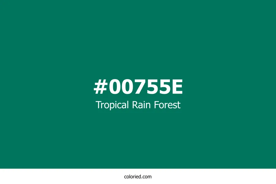 Tropical Rain Forest Color