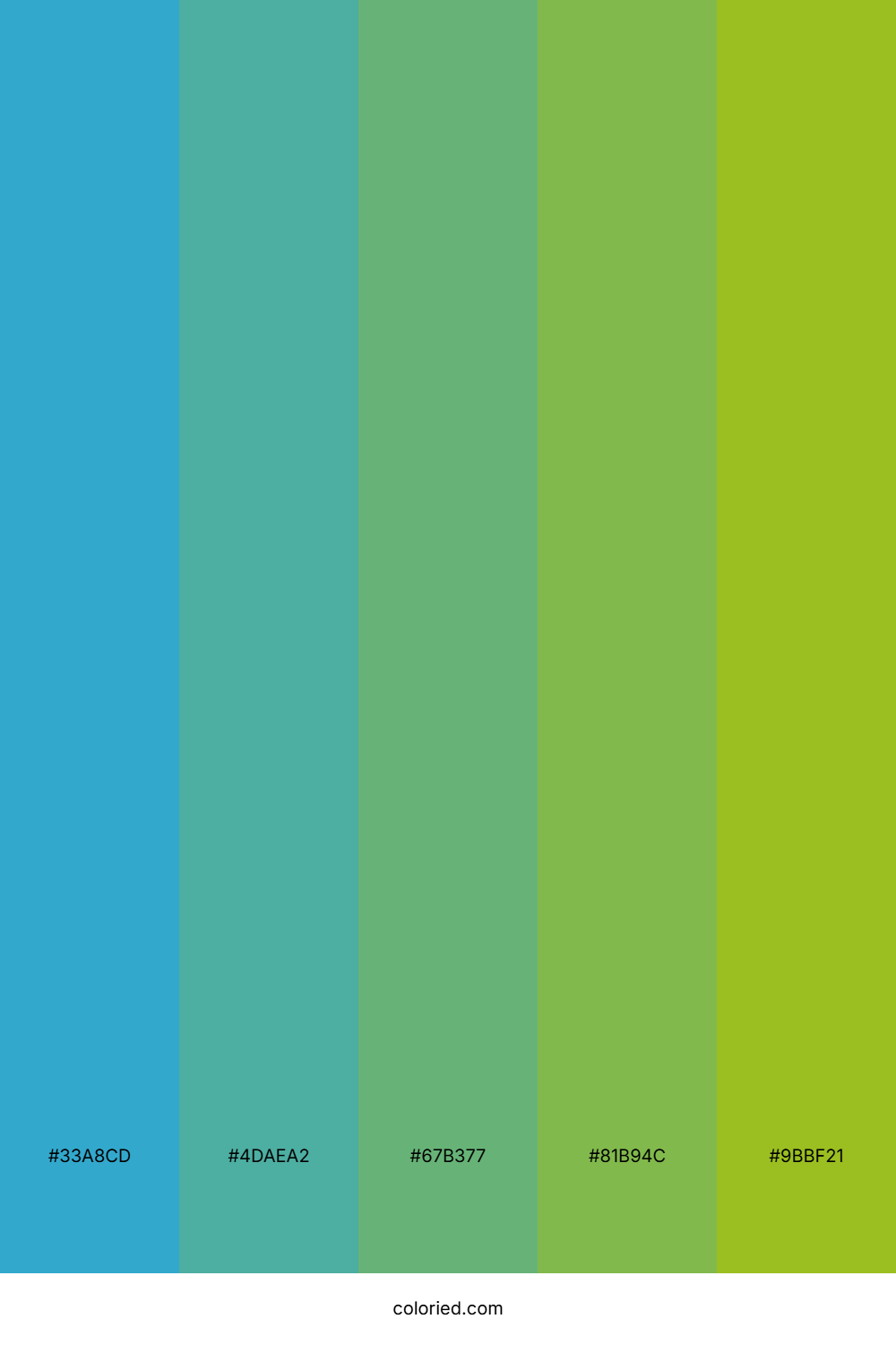 Tropical Sea Green Palette