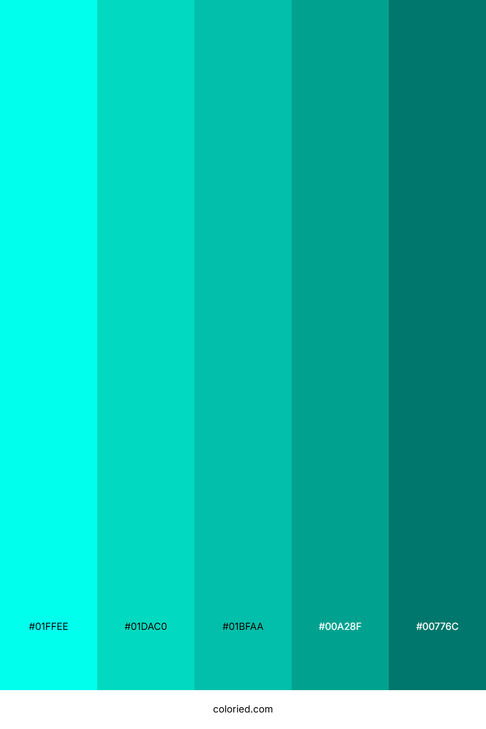 Tropical Teal Stream Color Palette