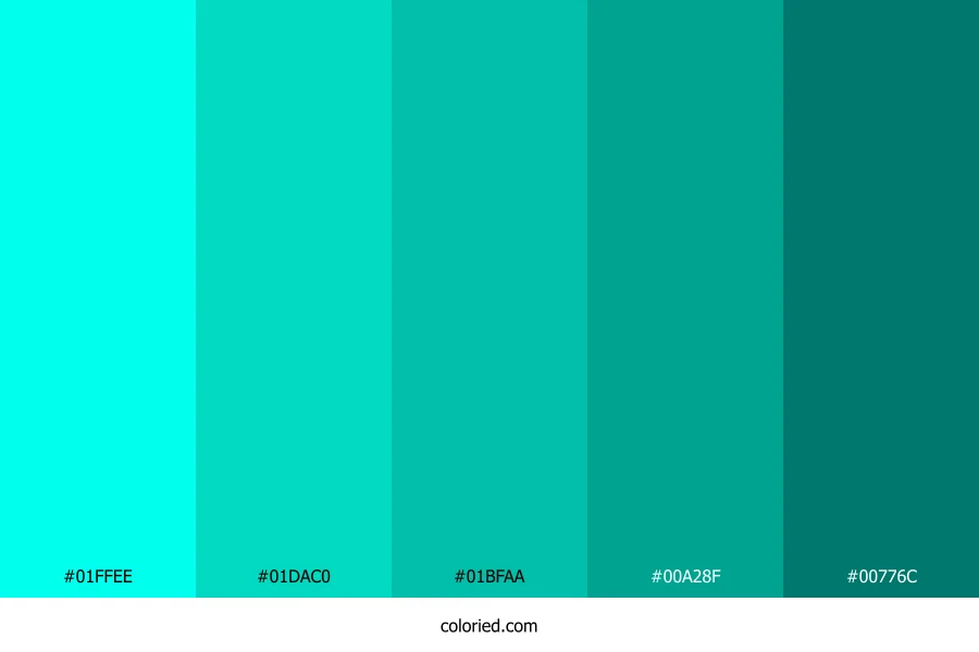 Tropical Teal Stream Color Palette