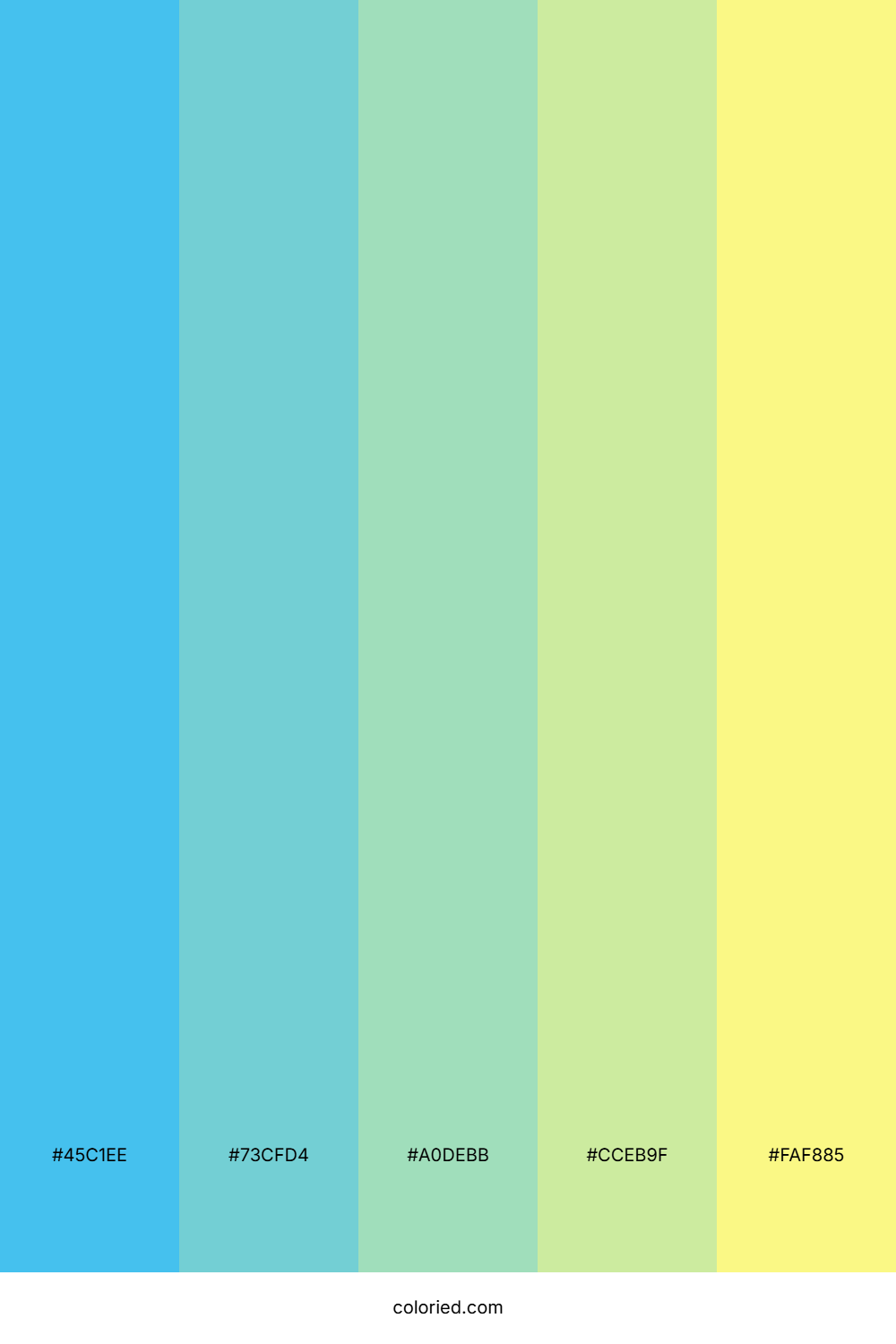 Tropical Wave Citrus Color Palette