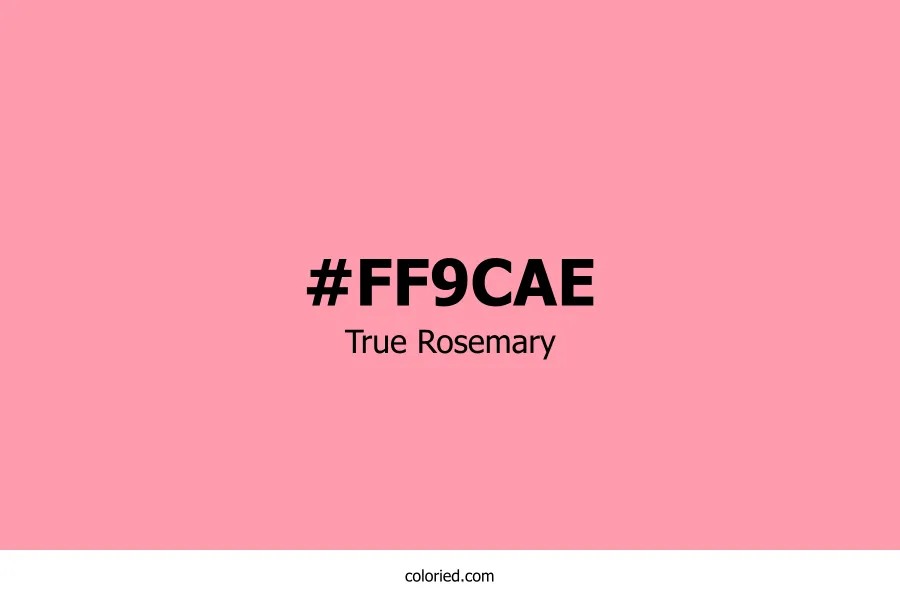 True Rosemary Color