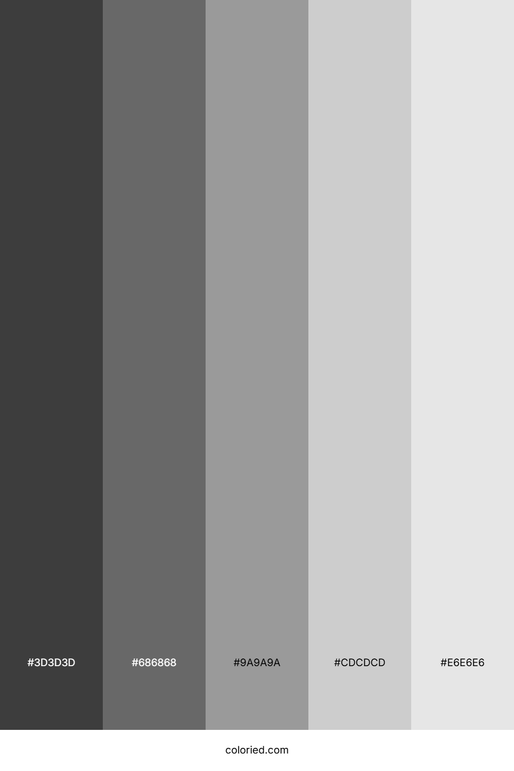 True Silver Shades Color Palette