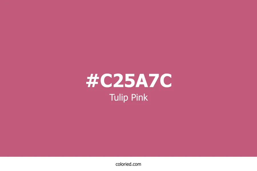 Tulip Pink Color