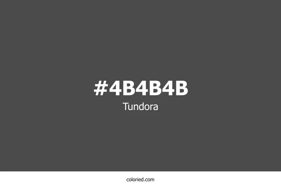 Tundora Color Hex Code