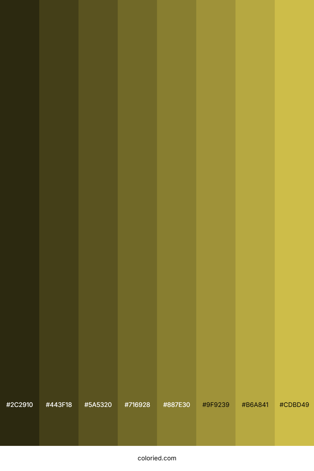 Turmeric Color Shades