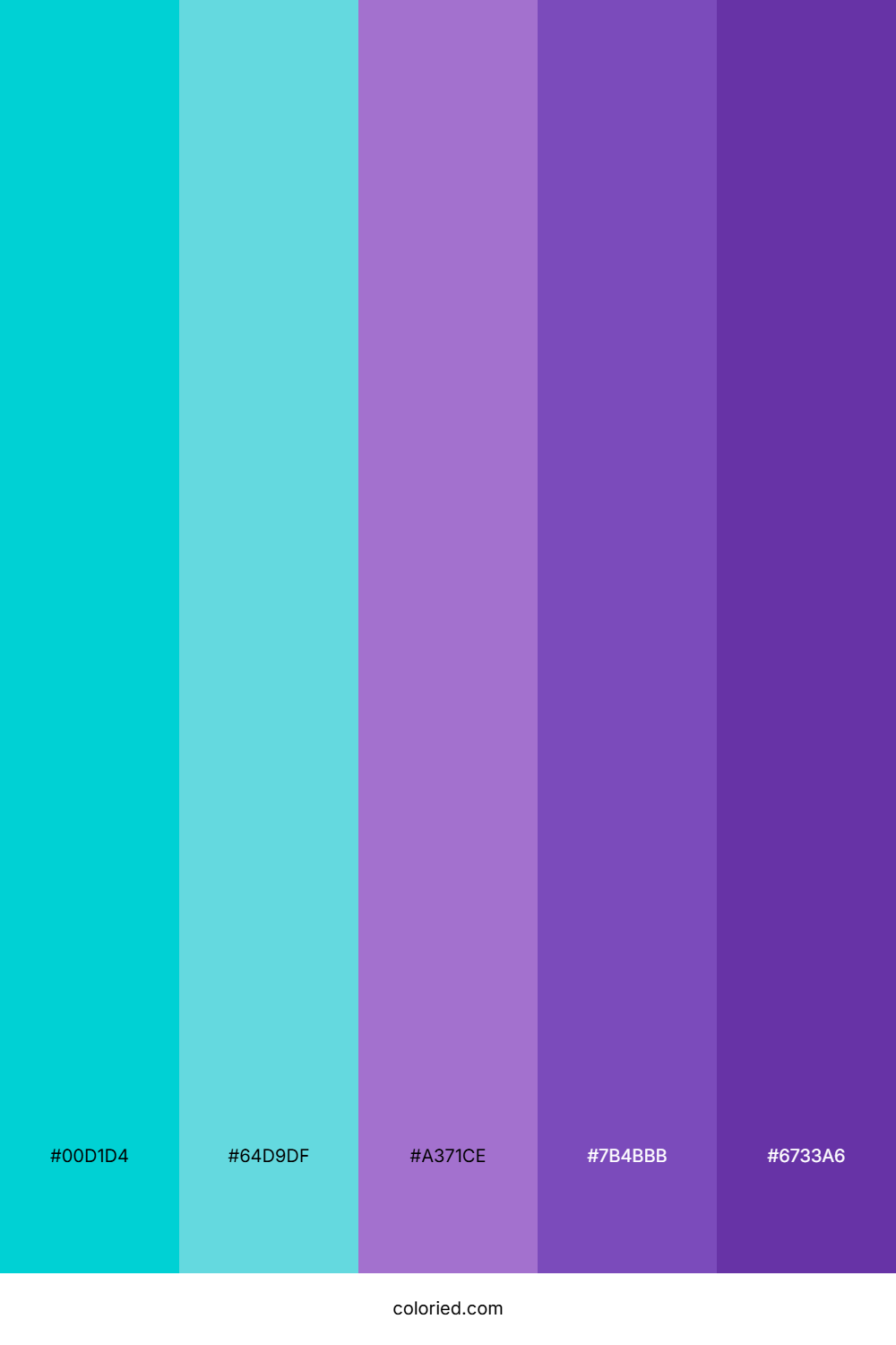 Turquoise and Deep Purple Color Palette
