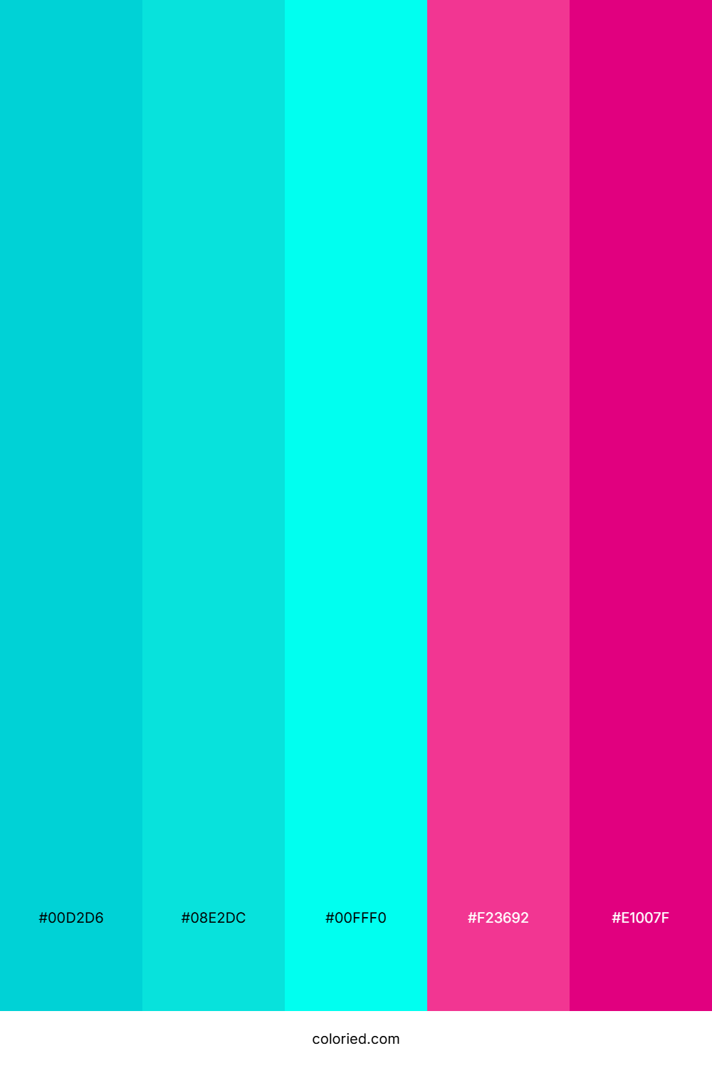 Turquoise And Magenta Color Palette