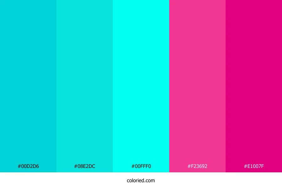 Turquoise and Magenta Color Palette