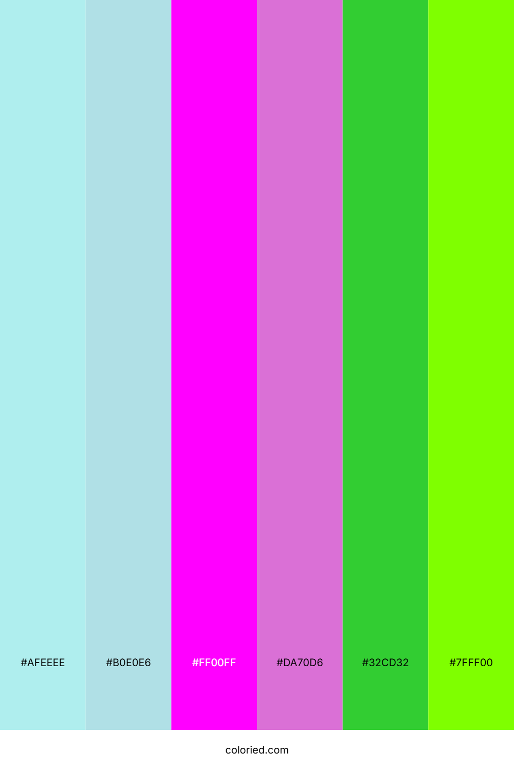 Turquoise Fuchsia Lime Palette