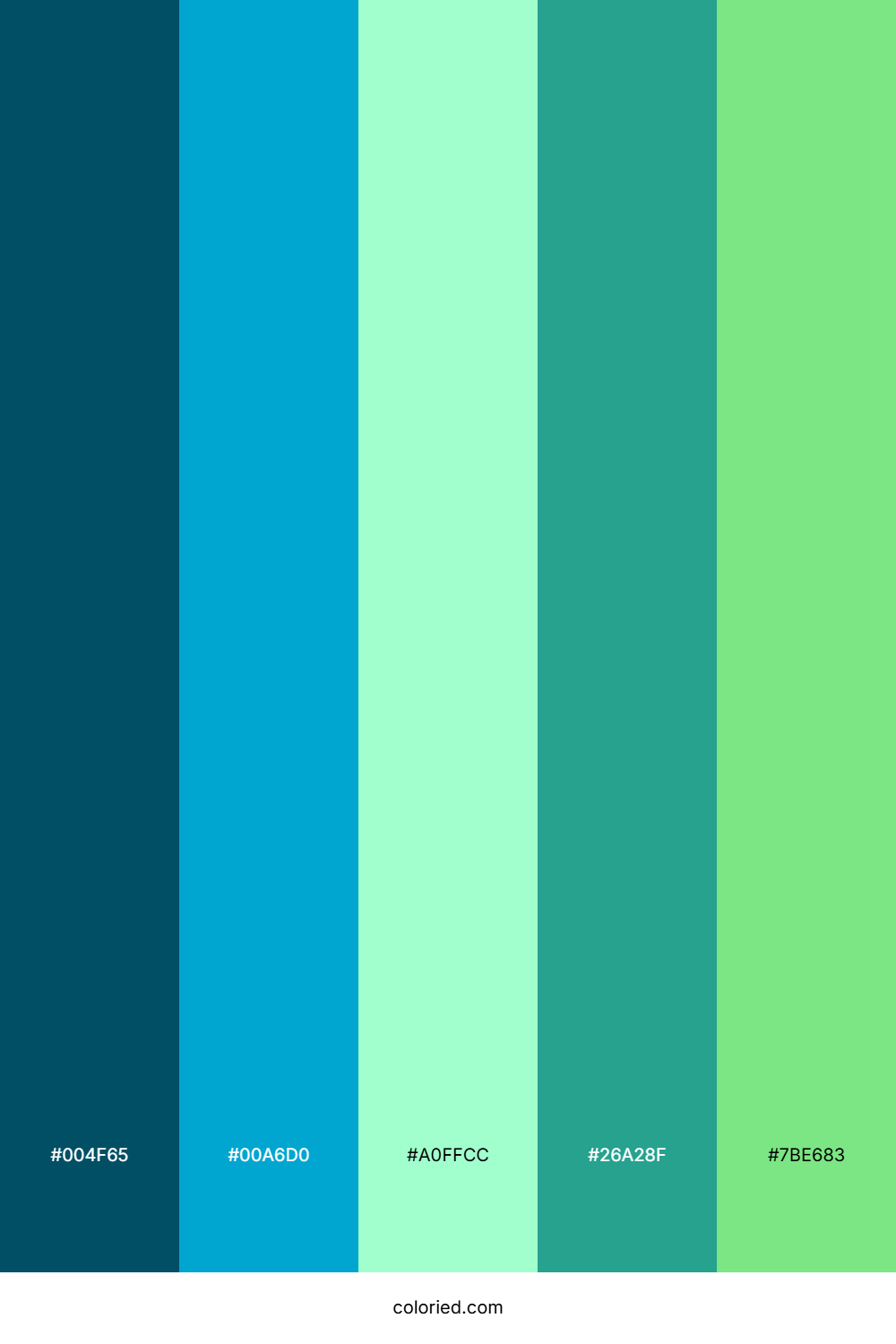 Turquoise Reef Spring Palette
