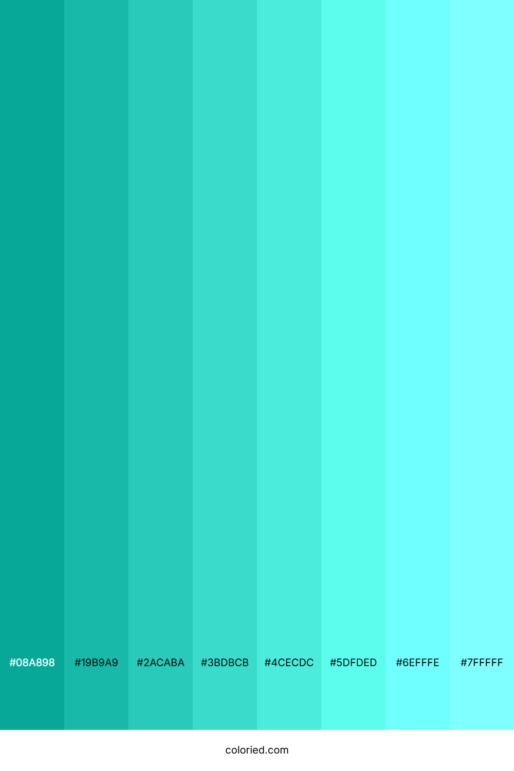 Turquoise Surf Shades