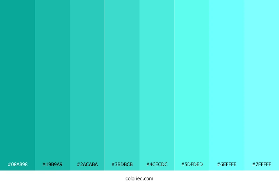 Turquoise Surf Shades