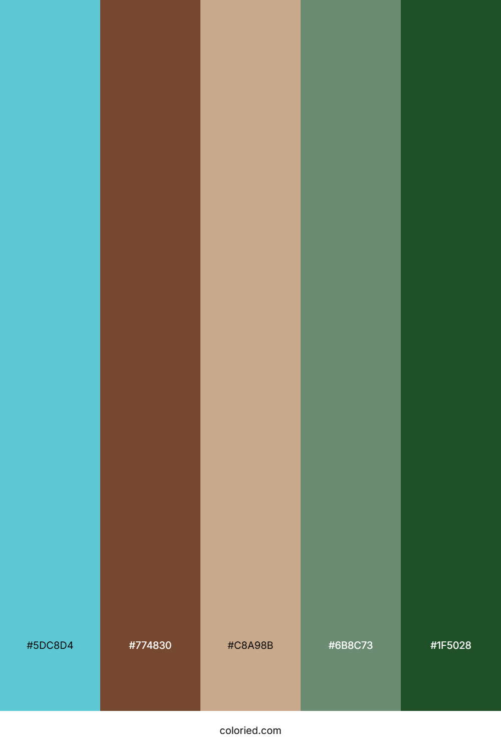 Turquoise Walnut Grove Palette