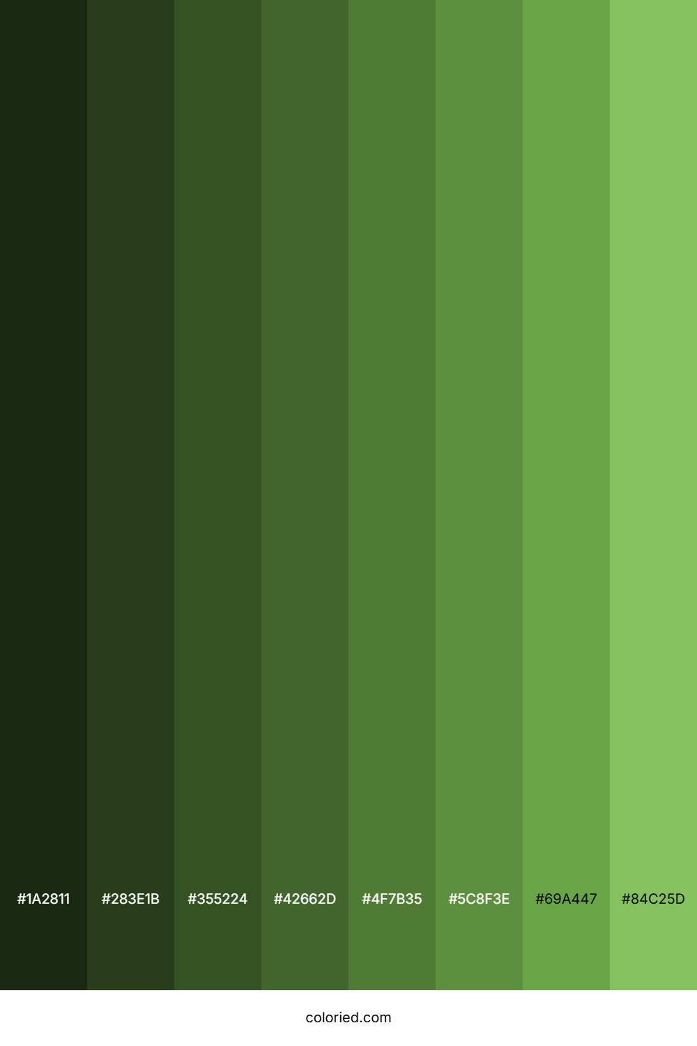 Turtle Green Color Shades