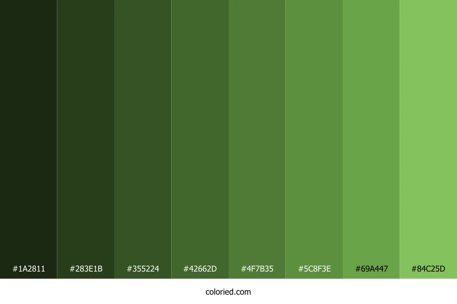 Turtle Green Color Shades