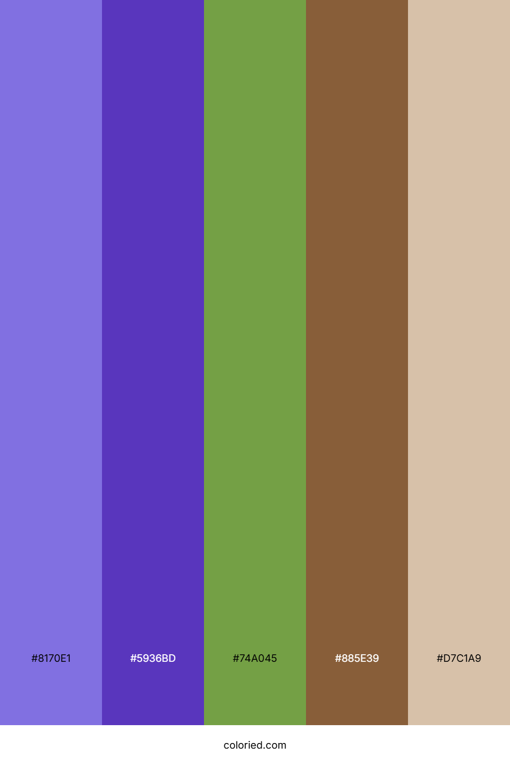 Twilight Fern Canopy Color Palette