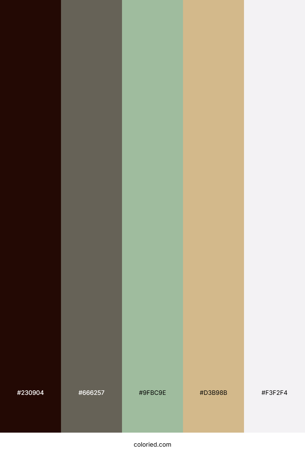 Twilight Forest Hearth Color Palette