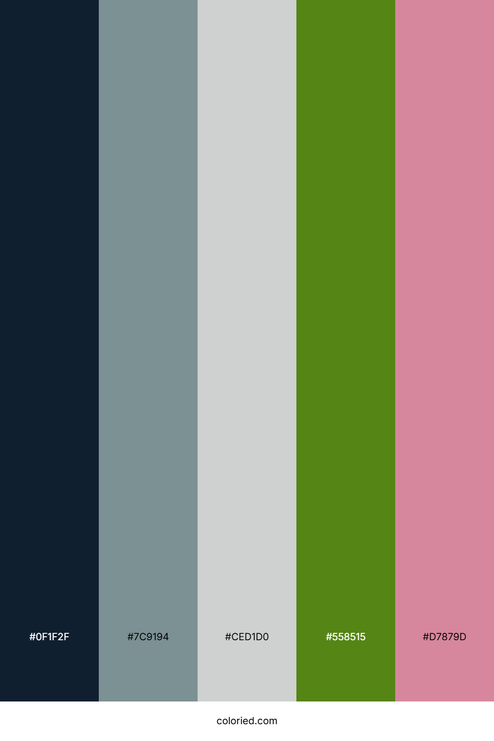 Twilight Sage Blossom Color Palette