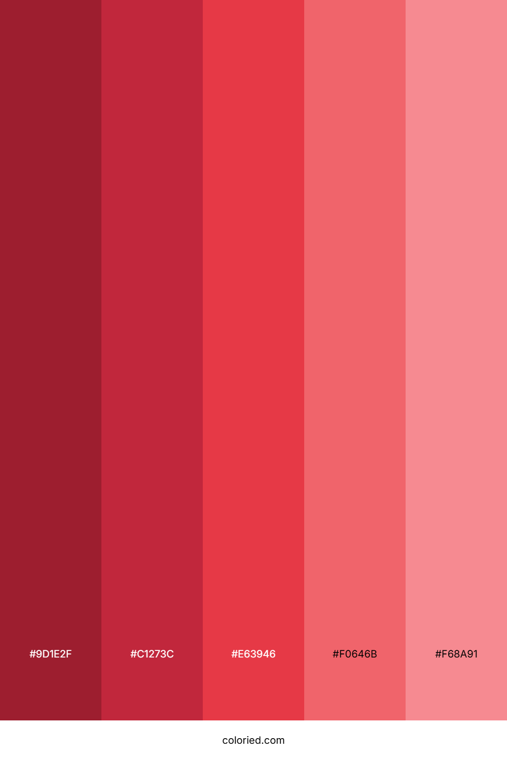 Valentine Red Color Palette