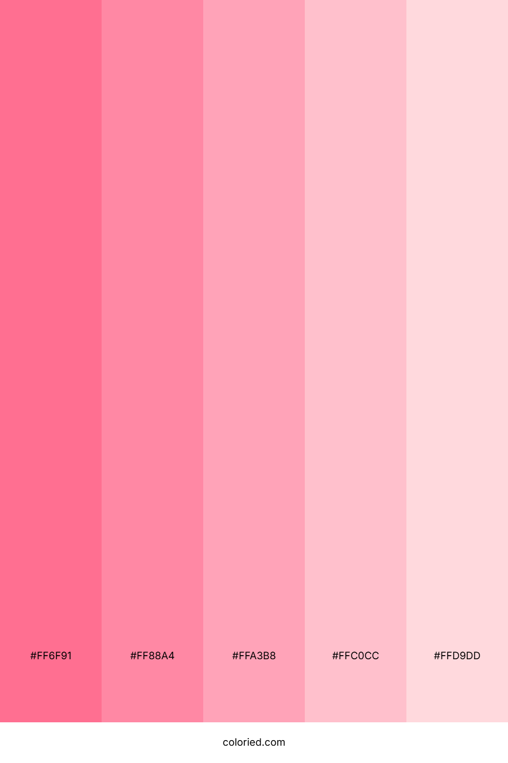 Valentines Pink Color Palette