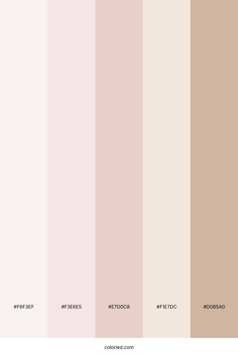Vanilla Latte Mist Color Palette