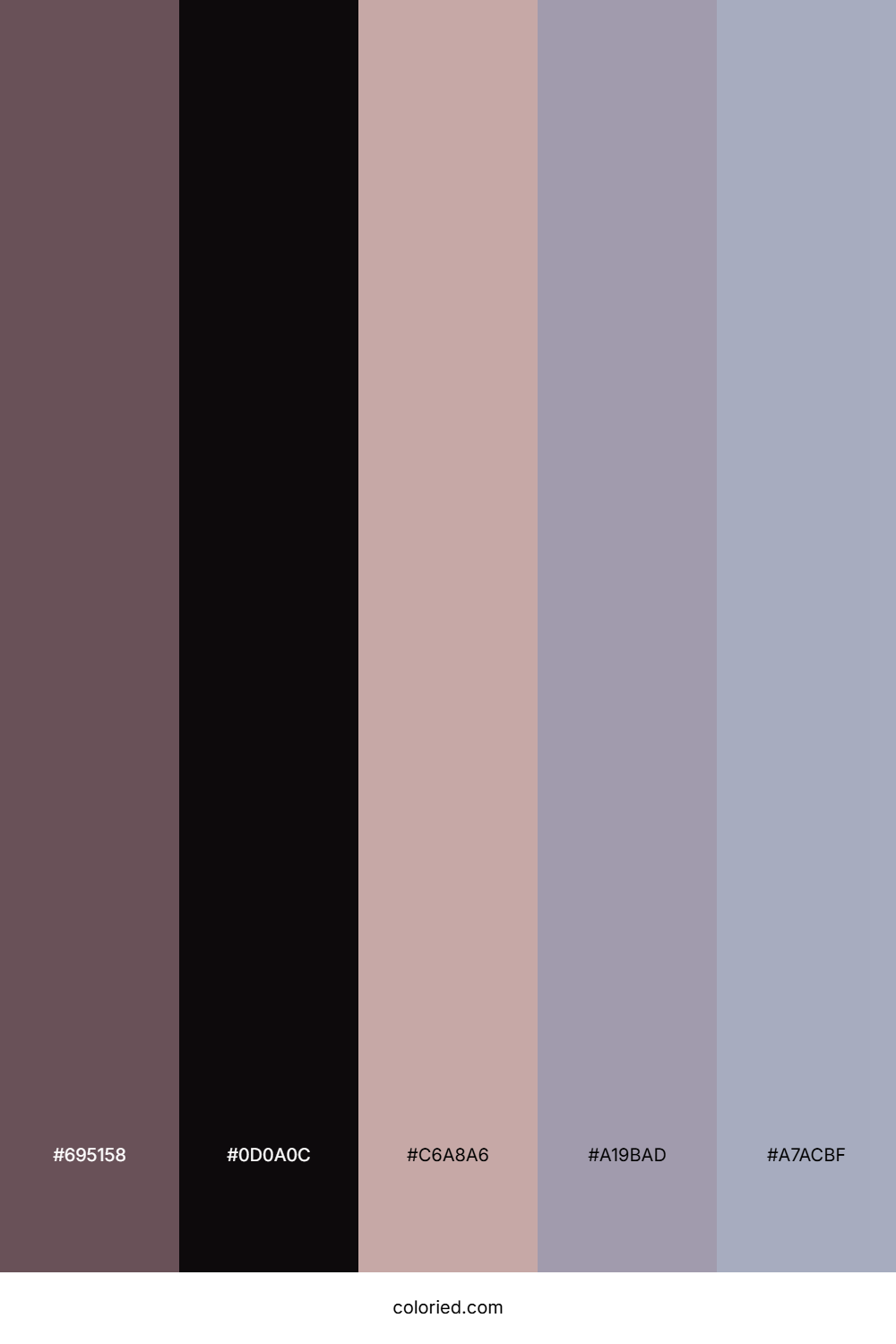 Velvet Shadow Dawn Color Palette