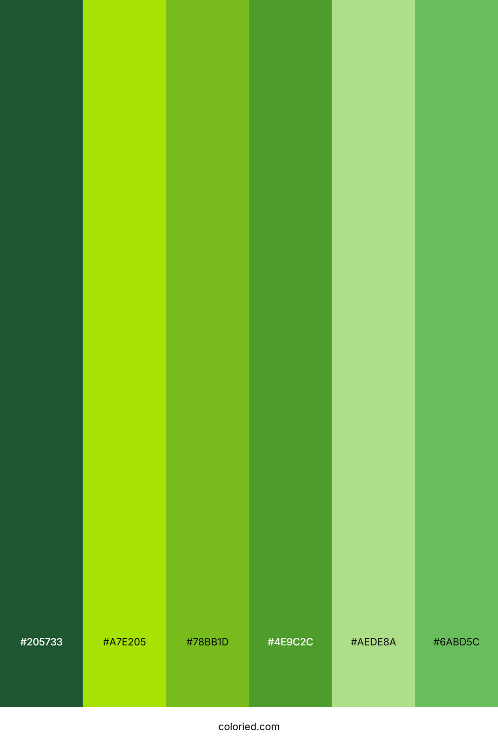 Verdant Canopy Color Palette
