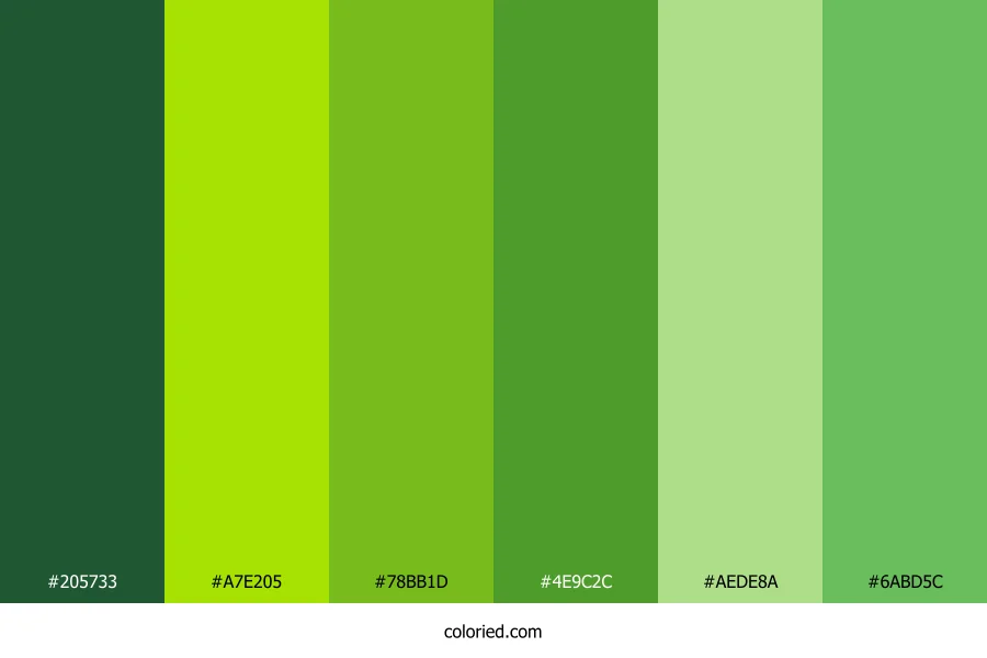 Verdant Canopy Color Palette