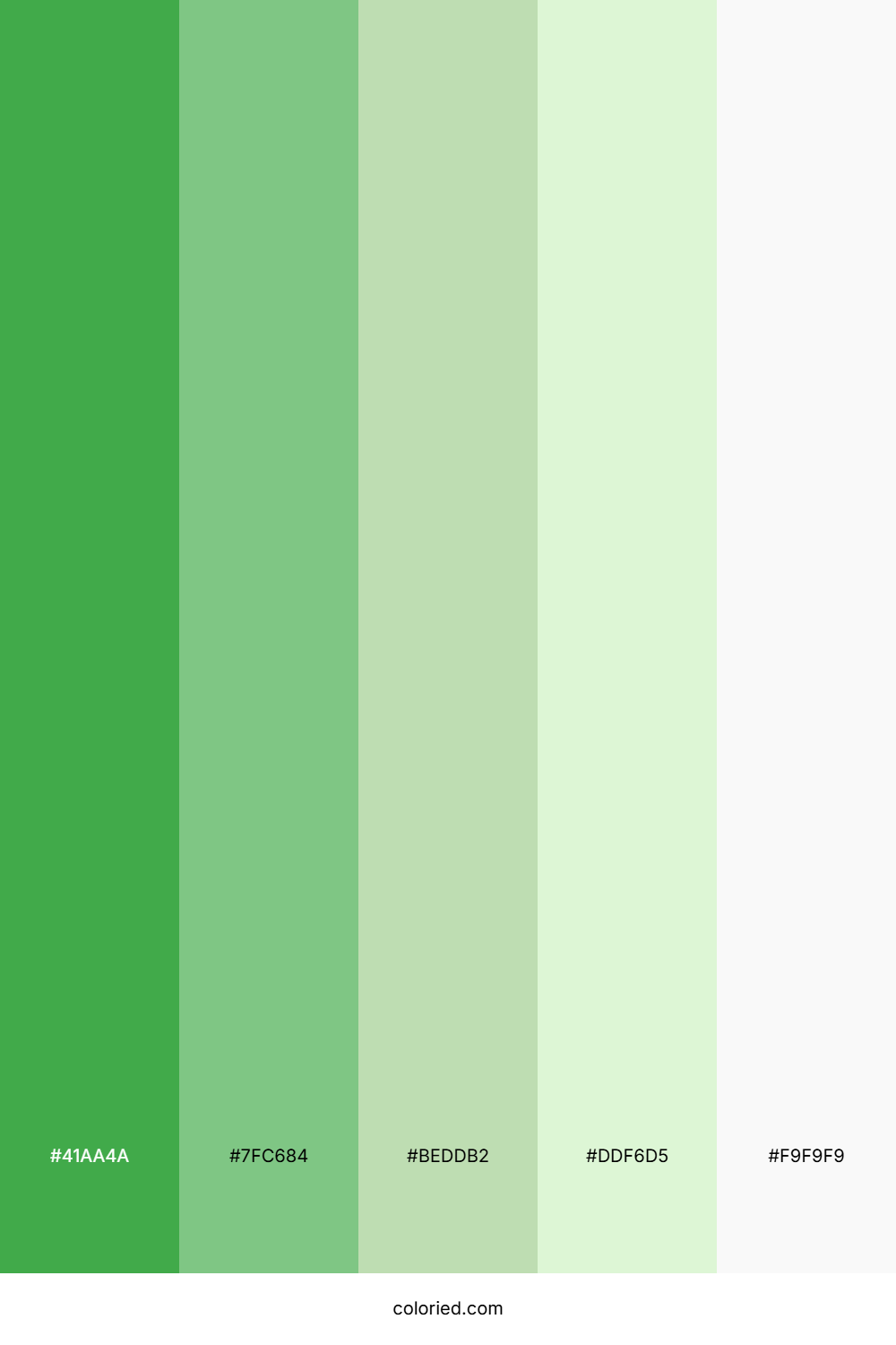 Verdant Forest Canopy Color Palette
