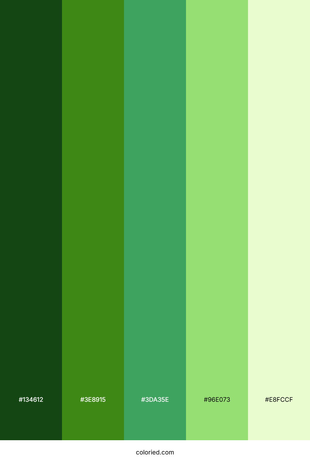 Verdant Jungle Light Palette