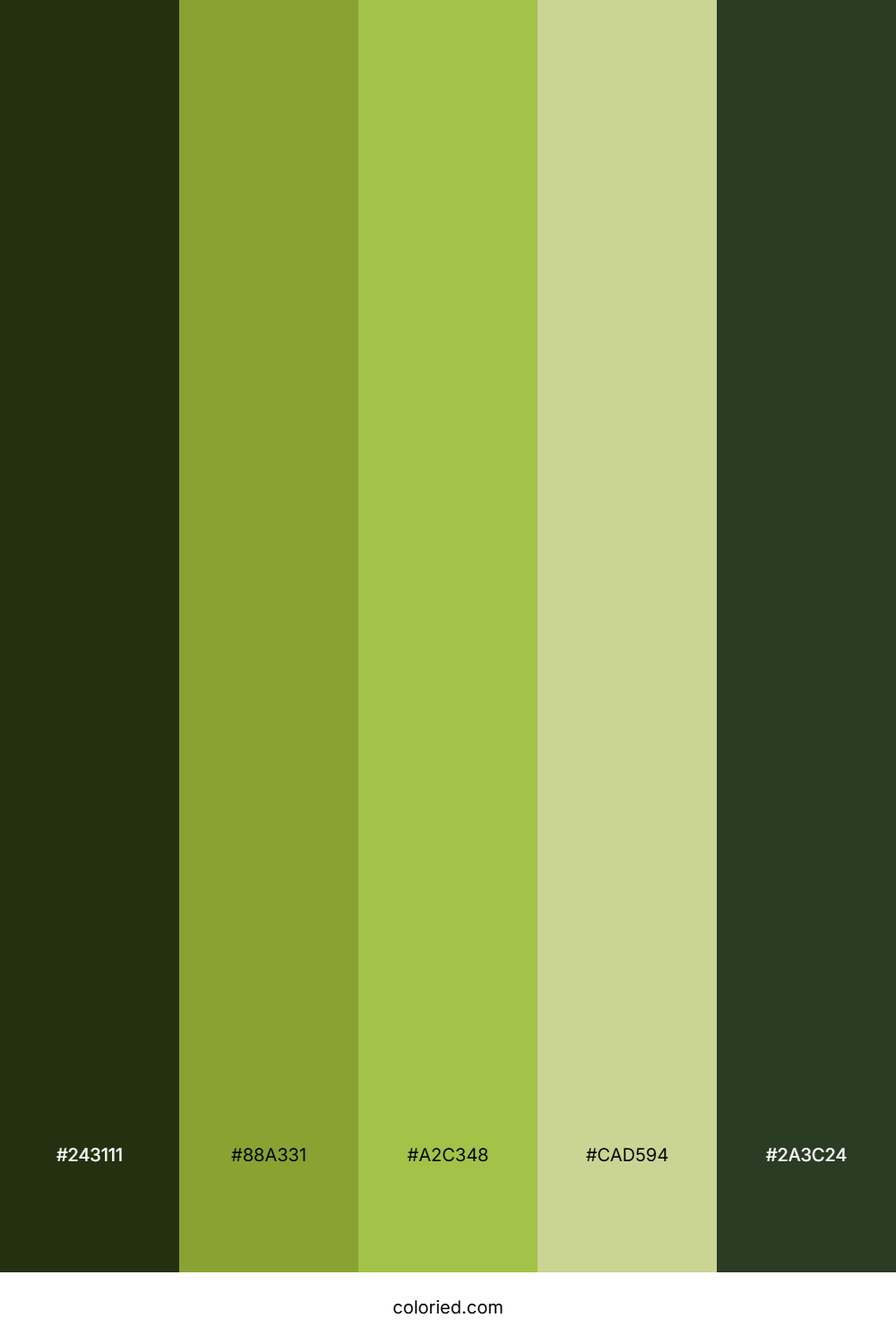 Verdant Mountain Path Color Palette