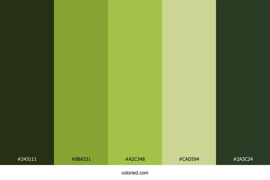 Verdant Mountain Path Color Palette