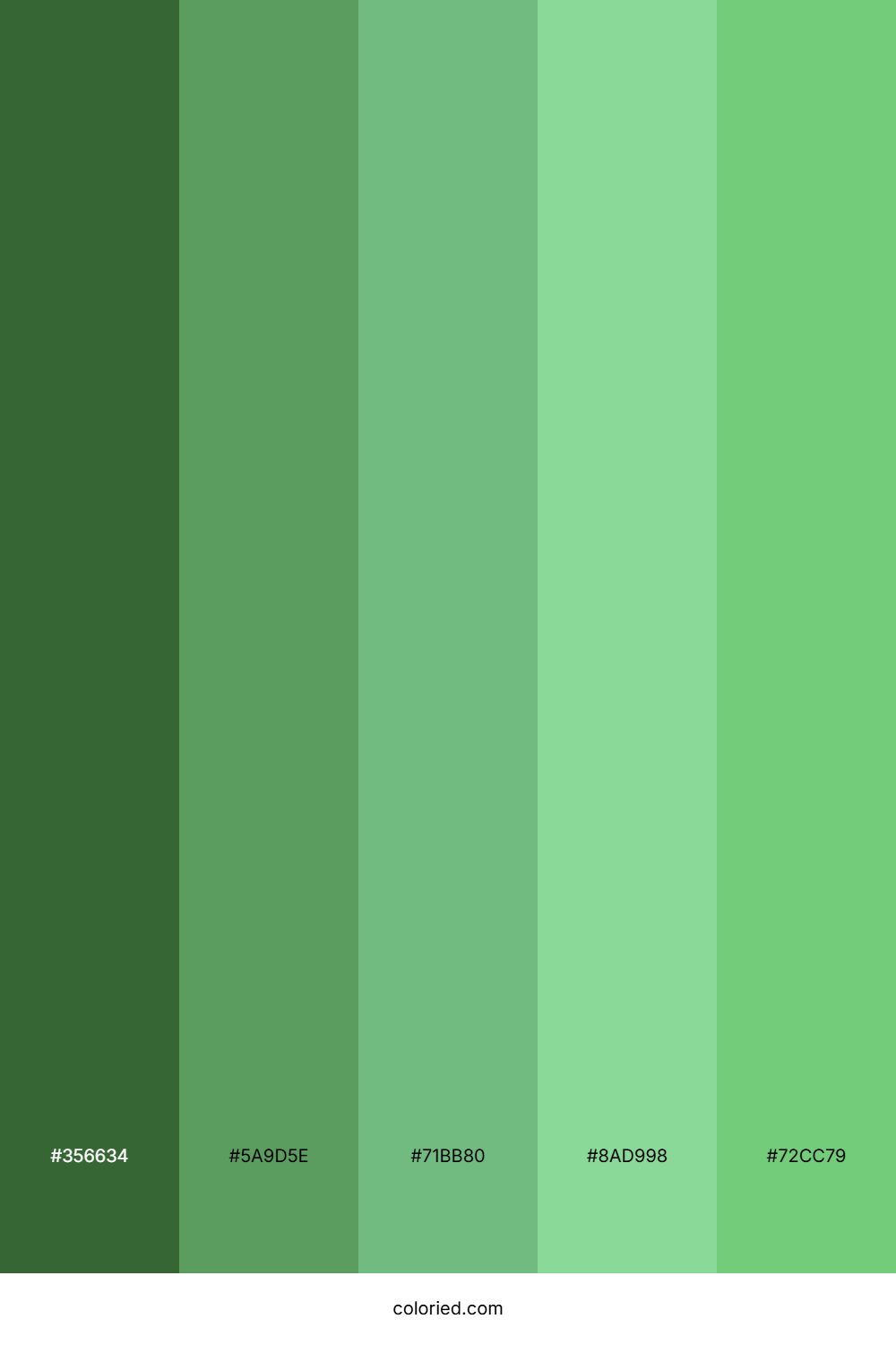 Verdant Planet Grove Palette