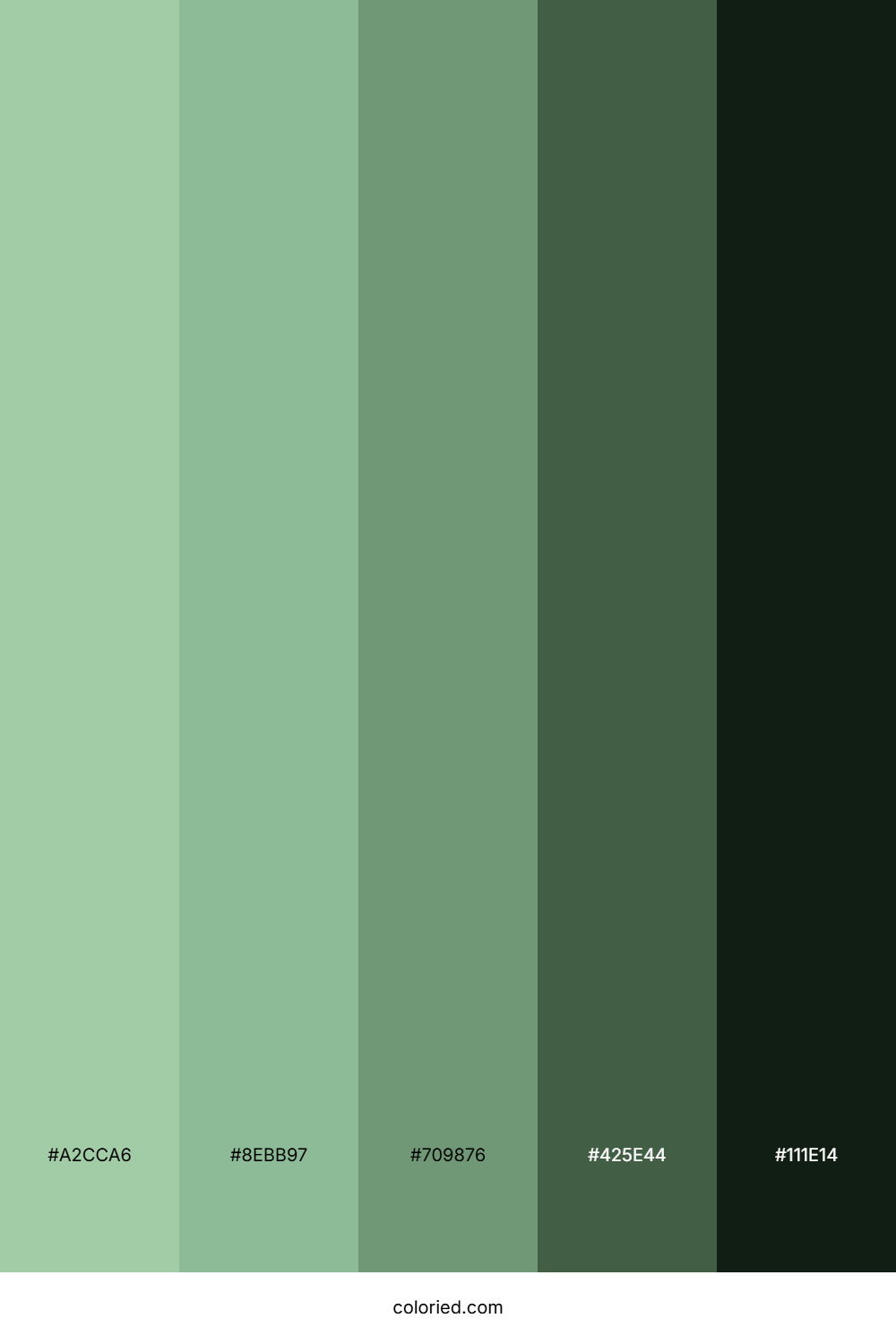 Verdant Sage Grove Color Palette